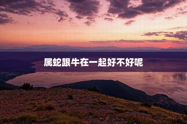 属蛇跟牛在一起好不好呢