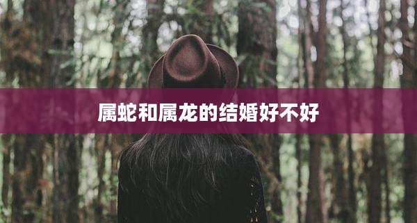 属蛇和属龙的结婚好不好