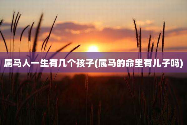 属马人一生有几个孩子(属马的命里有儿子吗)