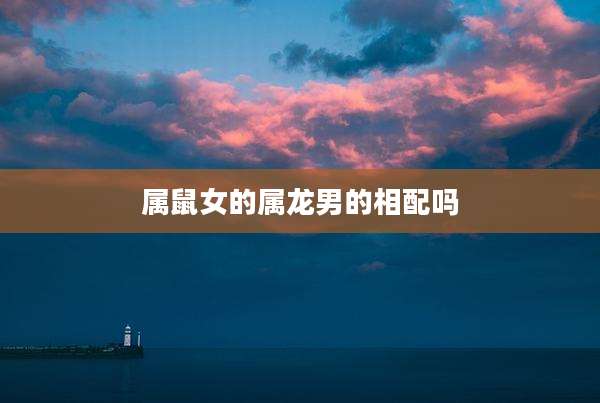属鼠女的属龙男的相配吗