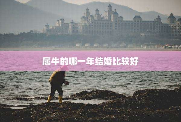 属牛的哪一年结婚比较好