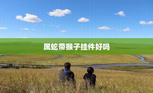 属蛇带猴子挂件好吗