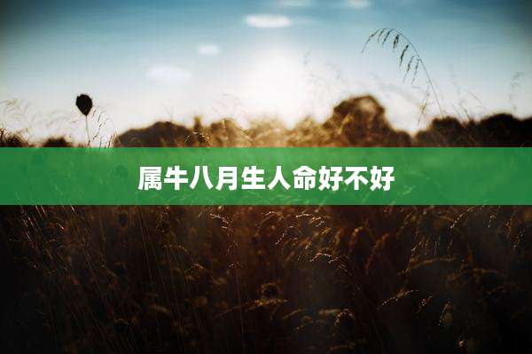 属牛八月生人命好不好