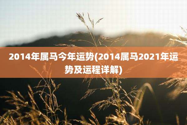 2014年属马今年运势(2014属马2021年运势及运程详解)