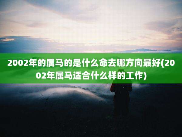 2002年的属马的是什么命去哪方向最好(2002年属马适合什么样的工作)