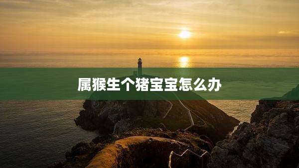 属猴生个猪宝宝怎么办