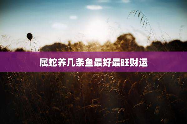 属蛇养几条鱼最好最旺财运