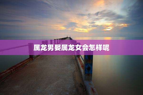 属龙男娶属龙女会怎样呢