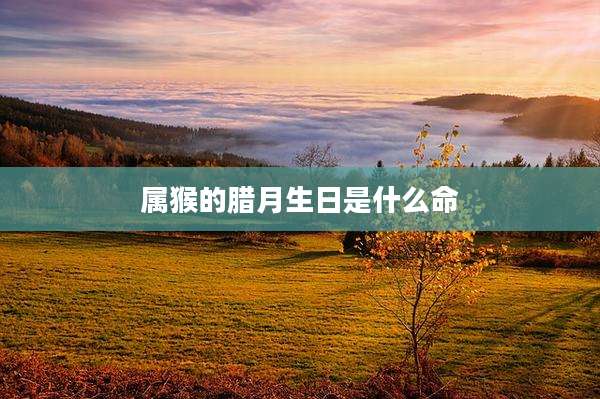 属猴的腊月生日是什么命