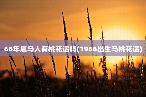 66年属马人有桃花运吗(1966出生马桃花运)