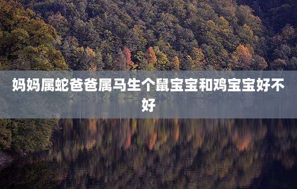 妈妈属蛇爸爸属马生个鼠宝宝和鸡宝宝好不好
