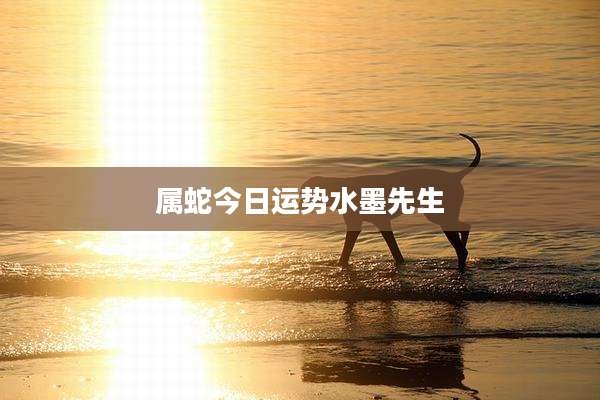 属蛇今日运势水墨先生