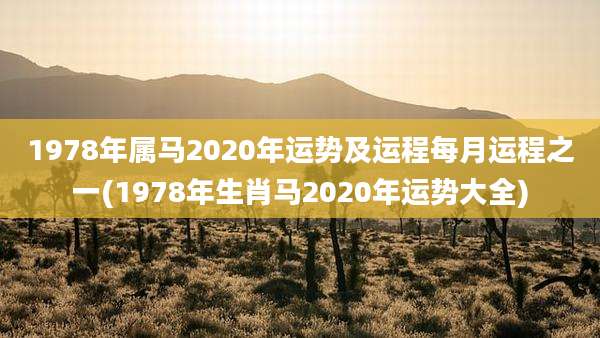 1978年属马2020年运势及运程每月运程之一(1978年生肖马2020年运势大全)
