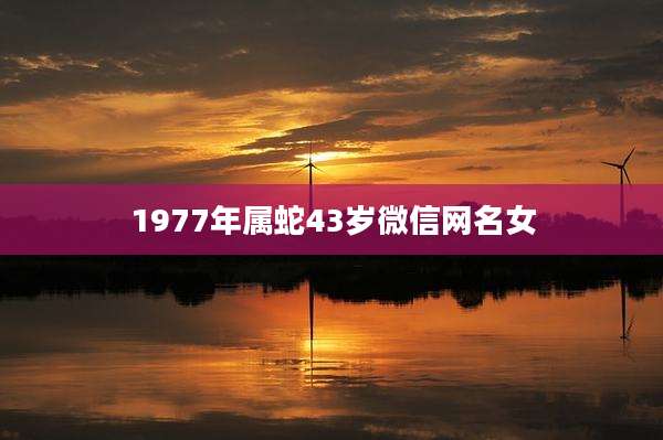 1977年属蛇43岁微信网名女