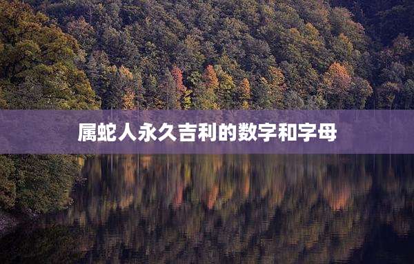 属蛇人永久吉利的数字和字母