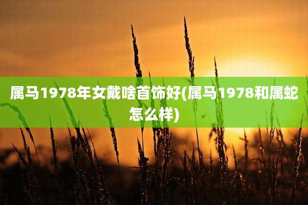 属马1978年女戴啥首饰好(属马1978和属蛇怎么样)