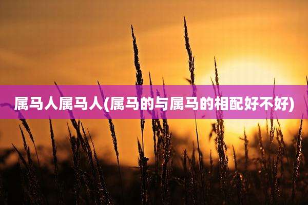 属马人属马人(属马的与属马的相配好不好)