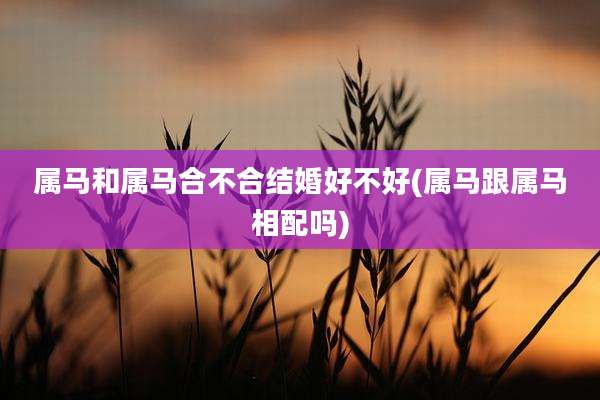 属马和属马合不合结婚好不好(属马跟属马相配吗)