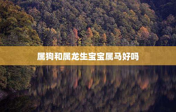 属狗和属龙生宝宝属马好吗