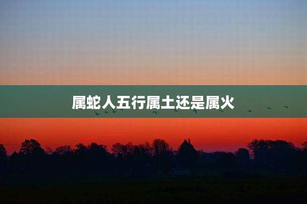属蛇人五行属土还是属火