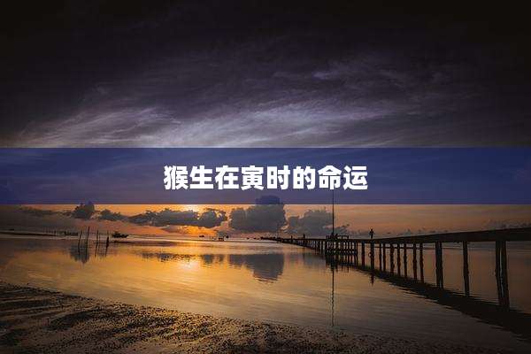 猴生在寅时的命运