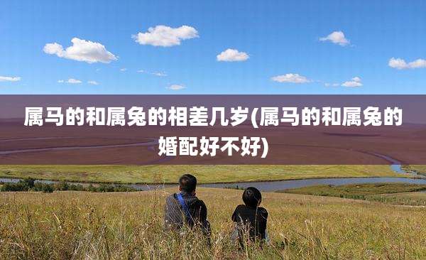 属马的和属兔的相差几岁(属马的和属兔的婚配好不好)