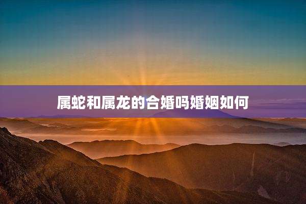 属蛇和属龙的合婚吗婚姻如何