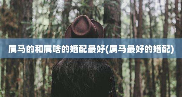 属马的和属啥的婚配最好(属马最好的婚配)