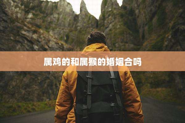 属鸡的和属猴的婚姻合吗