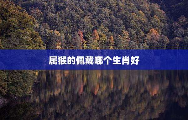 属猴的佩戴哪个生肖好