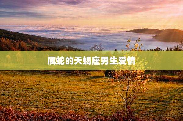 属蛇的天蝎座男生爱情