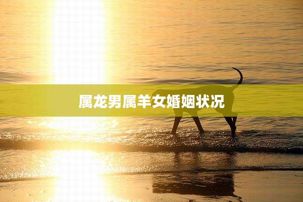 属龙男属羊女婚姻状况