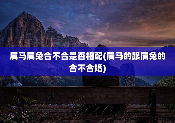 属马属兔合不合是否相配(属马的跟属兔的合不合婚)