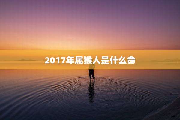 2017年属猴人是什么命