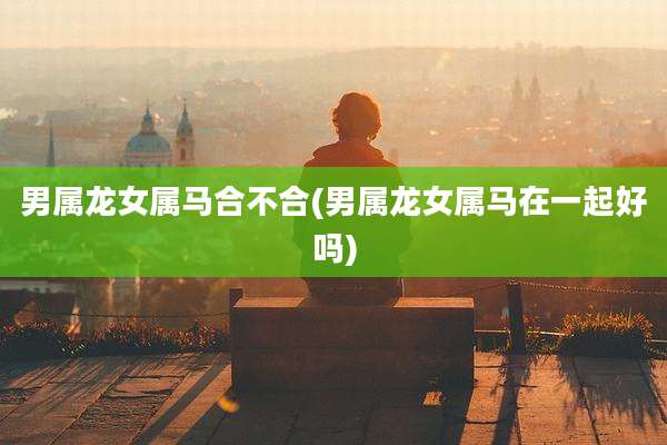 男属龙女属马合不合(男属龙女属马在一起好吗)