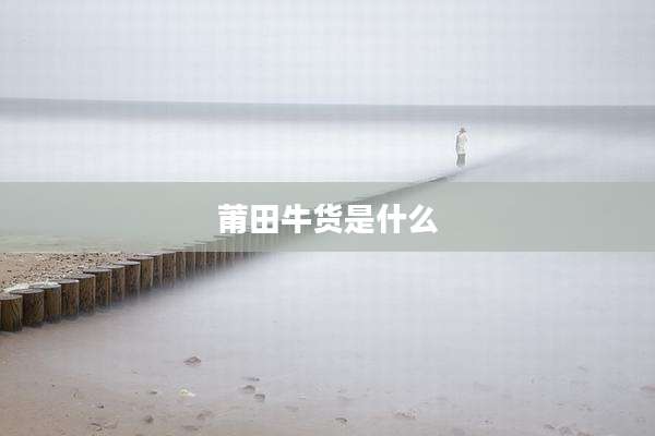 莆田牛货是什么