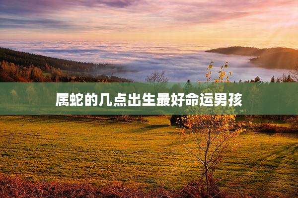 属蛇的几点出生最好命运男孩