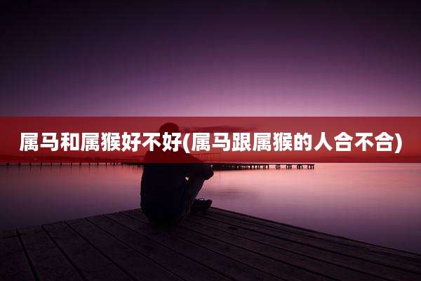 属马和属猴好不好(属马跟属猴的人合不合)