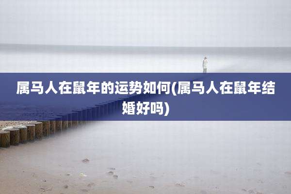 属马人在鼠年的运势如何(属马人在鼠年结婚好吗)