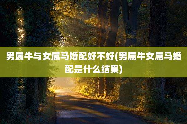 男属牛与女属马婚配好不好(男属牛女属马婚配是什么结果)