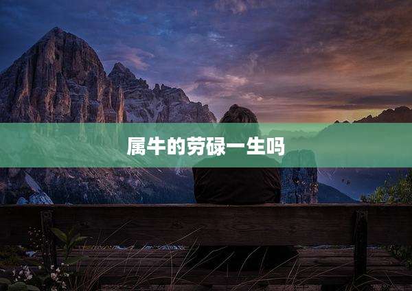 属牛的劳碌一生吗