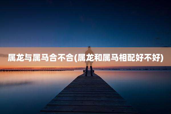 属龙与属马合不合(属龙和属马相配好不好)