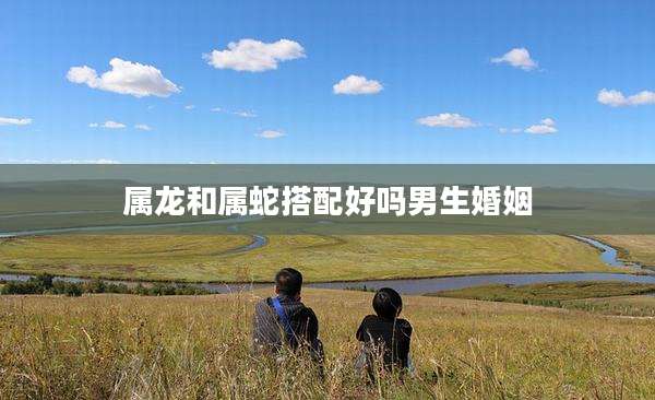 属龙和属蛇搭配好吗男生婚姻