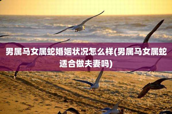 男属马女属蛇婚姻状况怎么样(男属马女属蛇适合做夫妻吗)