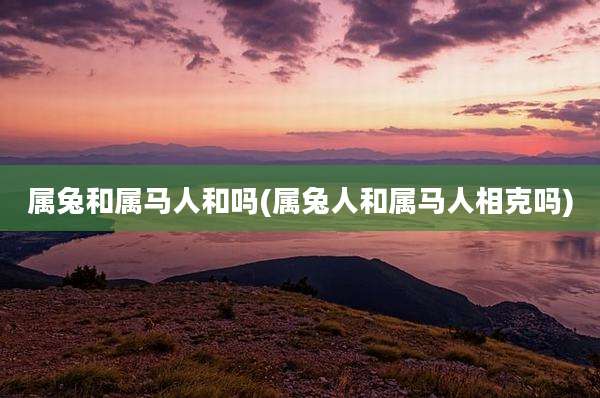 属兔和属马人和吗(属兔人和属马人相克吗)