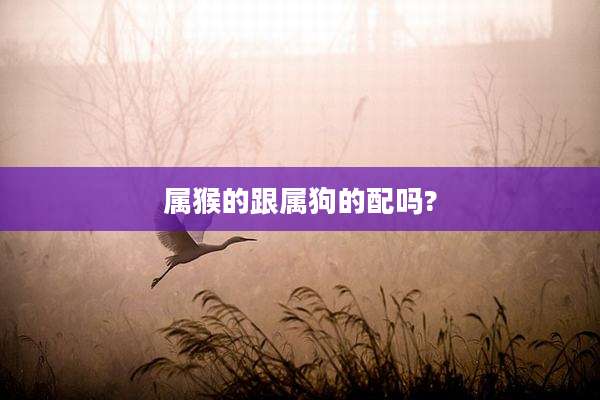 属猴的跟属狗的配吗?