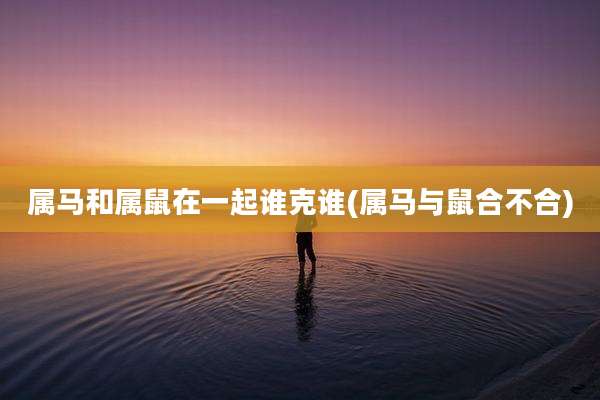 属马和属鼠在一起谁克谁(属马与鼠合不合)