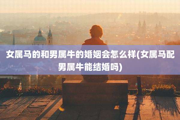 女属马的和男属牛的婚姻会怎么样(女属马配男属牛能结婚吗)