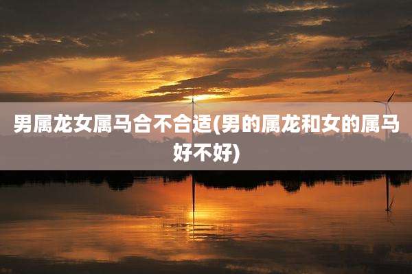 男属龙女属马合不合适(男的属龙和女的属马好不好)