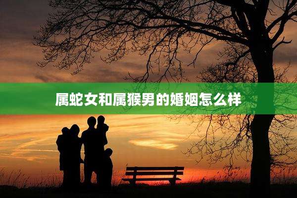 属蛇女和属猴男的婚姻怎么样